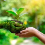 Seguros de Responsabilidad Ambiental: Hacia un Futuro Sostenible
